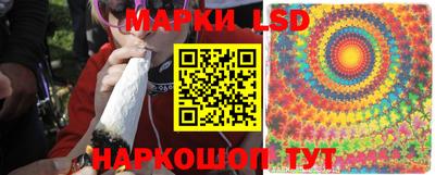 стафф Можга