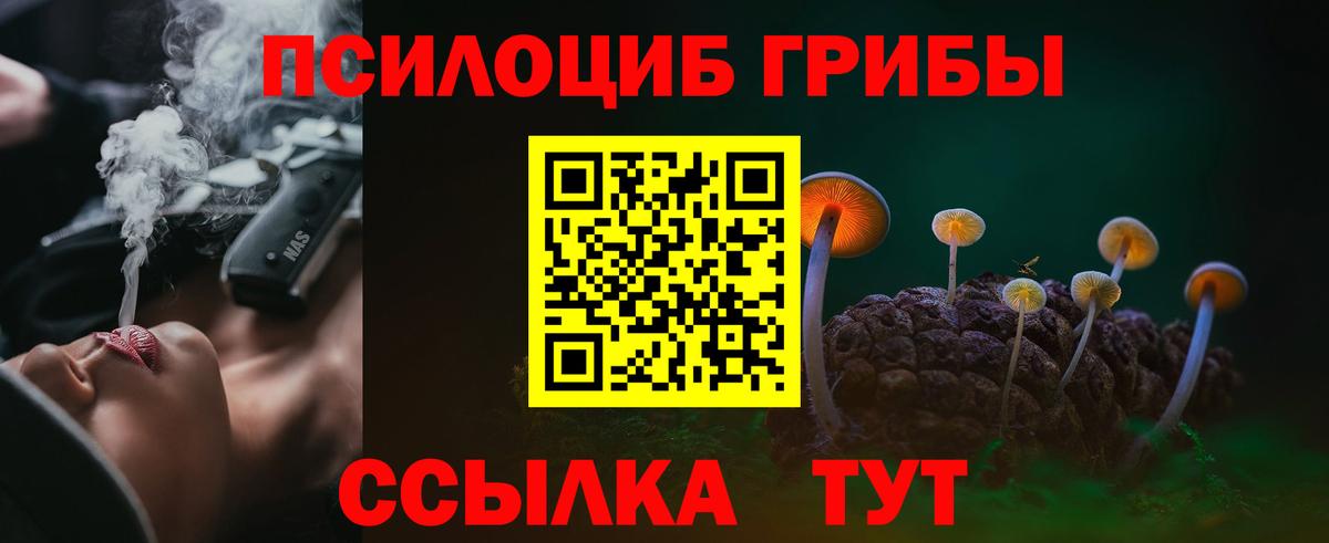 купить наркотик  Вход с VPN  Псилоцибиновые грибы GOLDEN TEACHER  Симферополь  Псилоцибиновые грибы Cubensis 